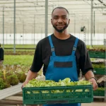 Hydroponics vs Traditional Soil Gardening: Which…