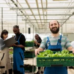Eco-Friendly Growing: Reduce Waste with Hydroponics