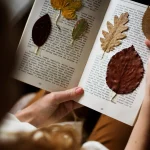 Books That Made Me Pause (and Why)